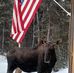 Don Blum - Facebook