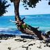 Dion Boucher - Facebook