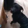 Dionne Boucher - @dionne.boucher - TikTok