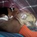 Dion Davis - Facebook