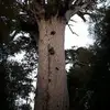 diondavis123 - @diondavis123 - TikTok