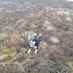 dion dunne - @dunne.dion - Instagram