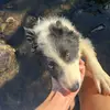 Dion - @dion.evans8 - TikTok