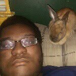 @diongreen - Instagram