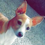 Bubba-Dion Harrison - @bubbadion - Instagram