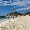 Dion_Harrison - @dion_harrison - TikTok