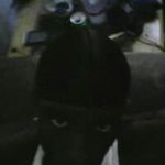 @dion.hines - Instagram