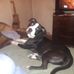 Dion McDaniel - Facebook