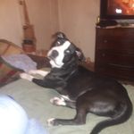 Dion McDaniel - @noid2073 - Instagram