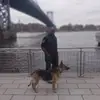 Dion Perkins - @dion.perkins4 - TikTok