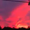 Brody - @dion.walker - TikTok