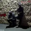 Dion Akhen Weaver - @mrsolodolo21 - TikTok