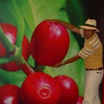 Dionisio Alejandro Cadena Ojeda - @dionisiocadena3 - Instagram