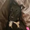 Carter Jackson - @carter.dionne1 - TikTok