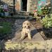 Dionne Dillon - Facebook