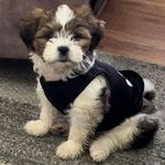 Dionne Richey Fields - @dmfields68 - Instagram