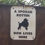Dionne Roberts - @housing_girl - Instagram