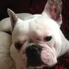 Dionne Roberts - @dionne.roberts1 - TikTok
