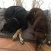 Dionne Roberts - Facebook