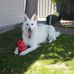 Dionne Robinson - Facebook
