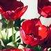 Dior Jenkins - Facebook
