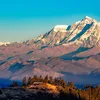 Dipesh - @dipadhikari28 - TikTok