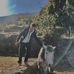 Dipesh Koirala - Facebook