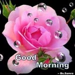 Dipti Garg - @diptigarg520 - Instagram