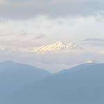 Dipti Mehta - @dipti.mehta.1293 - Instagram
