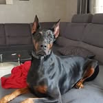 Dirk adam - @dirk0.33 - Instagram