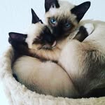 dirk adam - @dirk.adam - Instagram