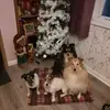dirkbailey4 - @dirkbailey4 - TikTok