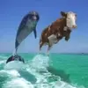 Dirk Barrett - @dirkbarrett_5693 - TikTok