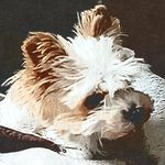 Dirk Bartelsmeier - @bartelsmeierdirk - Instagram