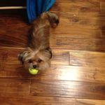 Dirk Beardsley - @dirkbeardsley - Instagram