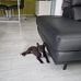 Dirk Becker - Facebook