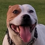 Dirk Becker - @doc_hollidays_sbt - Instagram