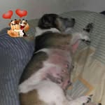 Dirk Becker - @beckerdirk63 - Instagram
