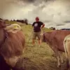 Dirk Becker - @dirk.becker85 - TikTok