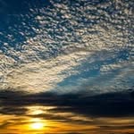 Dirk Van Bellinghen - @vanbellinghendirk - Instagram
