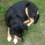 Dirk Bender - @dirk.bender.5872 - Instagram