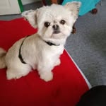 Dirk Bender - @dirkbender29 - Instagram