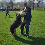 Dirk Berger - @dirkberger17 - Instagram