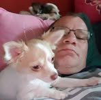 Dirk Berger - Facebook