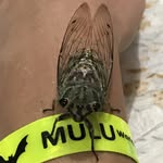Dirk Bernhardt - @leconnewitz7777 - Instagram