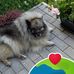 Bert Derk - Facebook