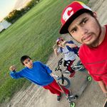Dirk Bird - @birddirk - Instagram