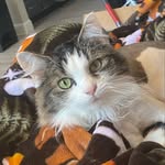 Dirk Bloomquist - @auttorresponder - Instagram