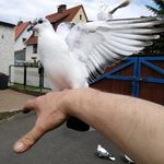 Dirk Bock - @bockdirk123 - Instagram