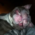 Dirk Bryant - Facebook